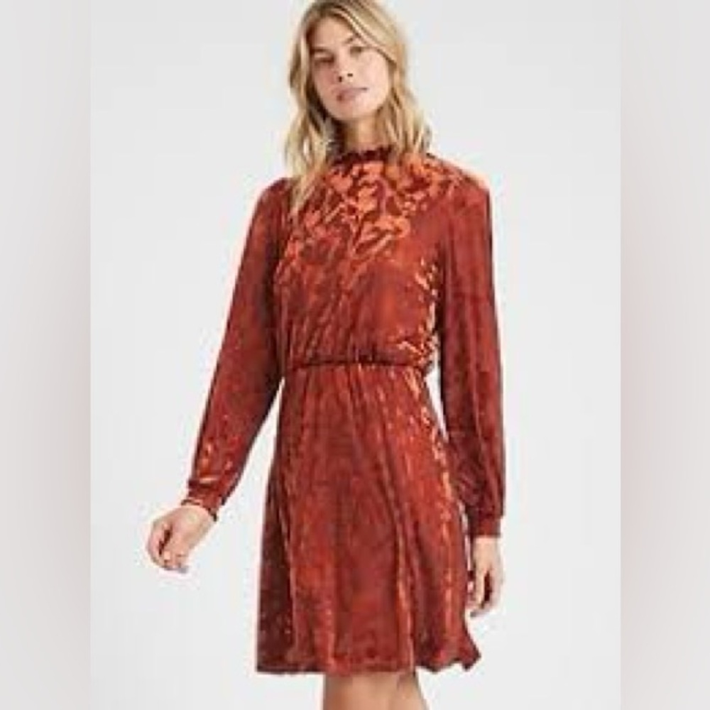 Banana Republic Burnout Velvet Fit-and-Flare Dress